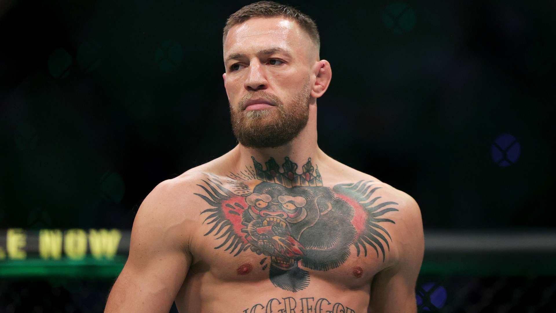 足球的舞台 足球的舞台